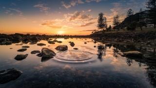 A river and forest scene at sunset