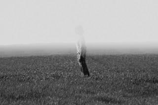 Black and white photo of person in a field