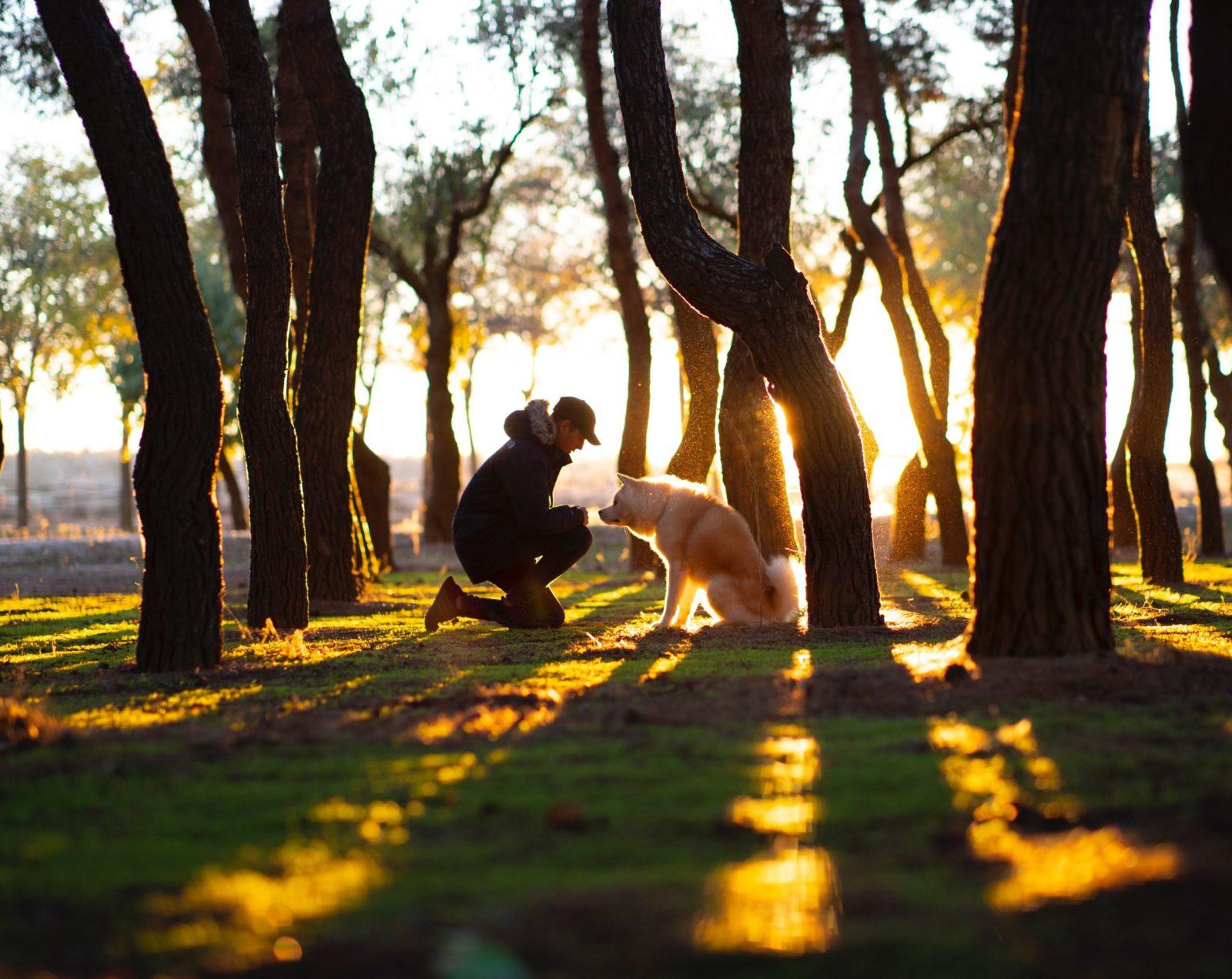 man kneeling in front of his dog